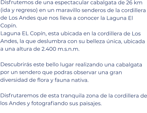 Disfrutemos de una espectacular cabalgata de 26 km (ida y regreso) en un maravillo senderos de la cordillera de Los Andes que nos lleva a conocer la Laguna El Copín.											 Laguna EL Copín, esta ubicada en la cordillera de Los Andes, la que deslumbra con su belleza única, ubicada a una altura de 2.400 m.s.n.m.											 Descubrirás este bello lugar realizando una cabalgata por un sendero que podras observar una gran diversidad de flora y fauna nativa.											 Disfrutaremos de esta tranquila zona de la cordillera de los Andes y fotografiando sus paisajes.